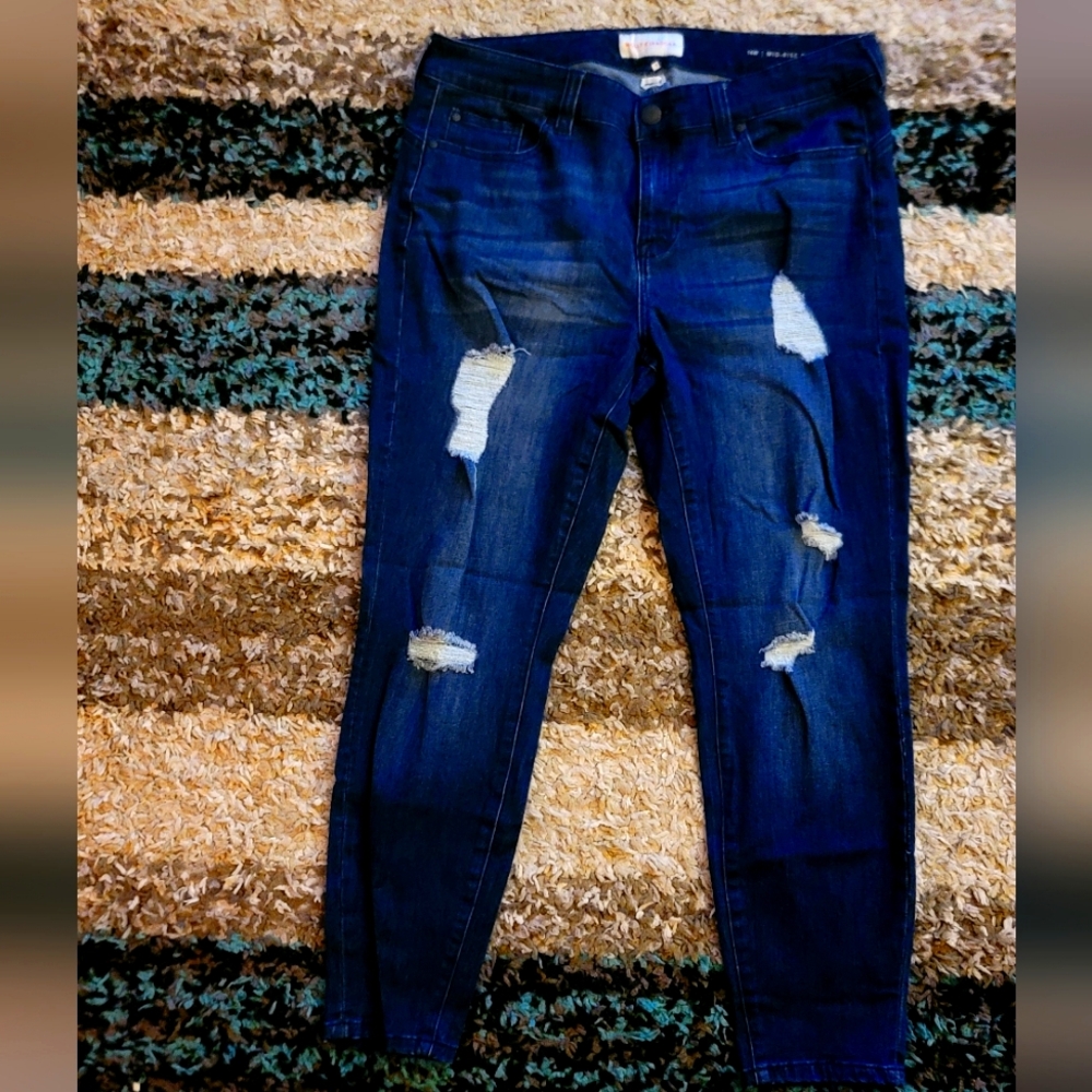 Molly Isadora Mid Rise Skinny Jeans 14W | Flattering Fit | Plus Size Denim
